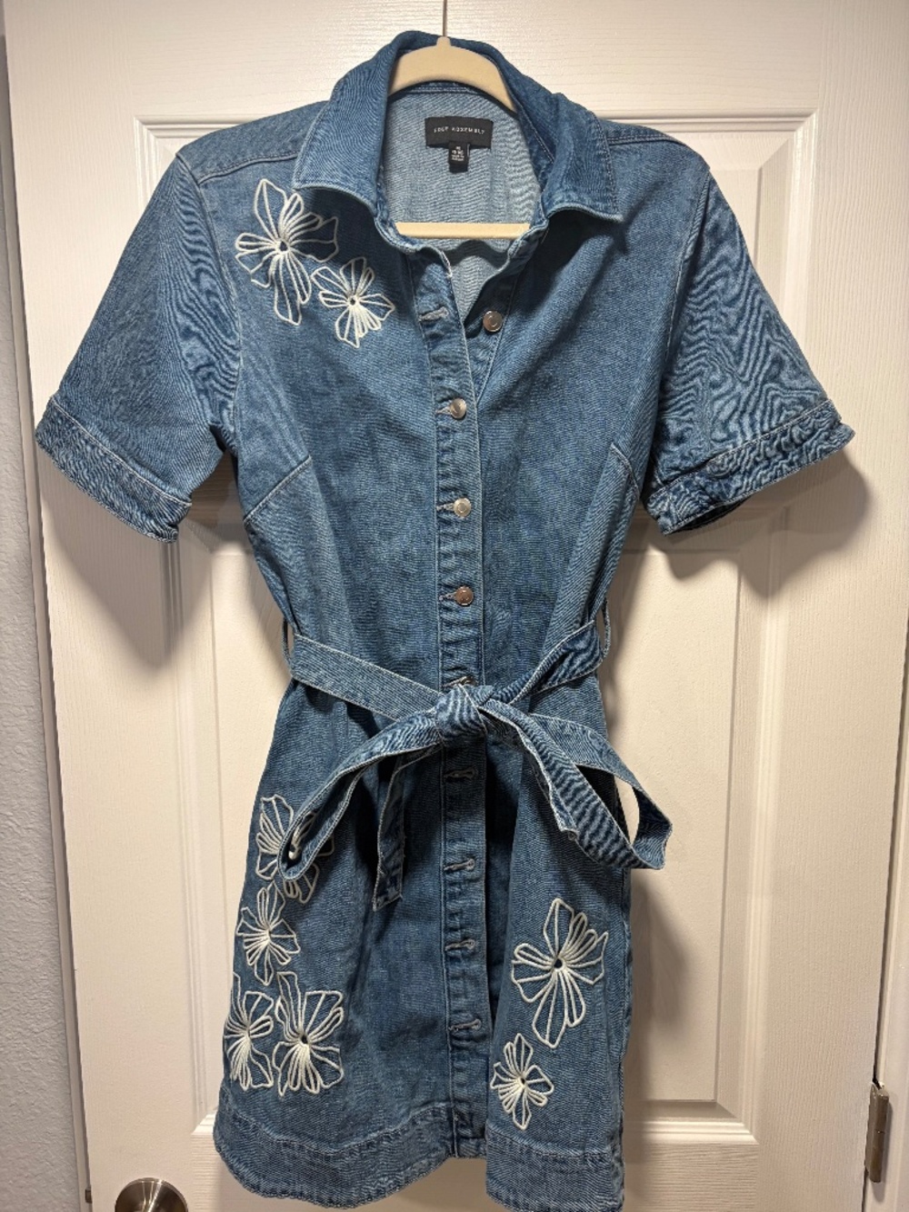 Free Assembly Embroidered Denim Dress